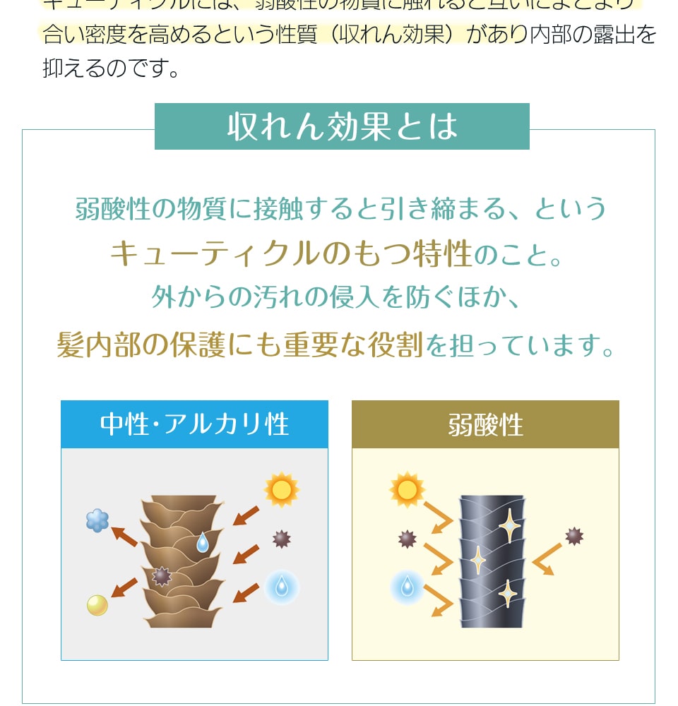 髪を内部から引き締めて傷みにくい髪質に